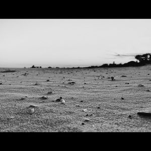 Meet your Posher, Kamdyn